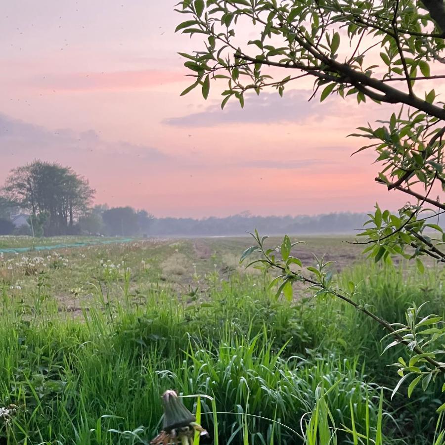 Lowlander Bnb เฮมสแคร์ก ภายนอก รูปภาพ
